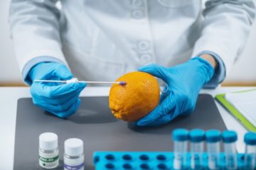 Dorso de cientista de jaleco branco analisa uma laranja aparentemente saudável