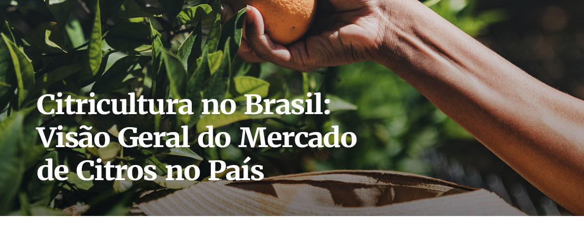 citricultura no brasil