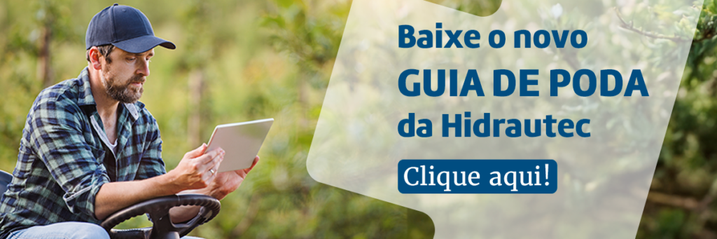 Retrospectiva e previsão: Transformações da citricultura em 2024 e 2025