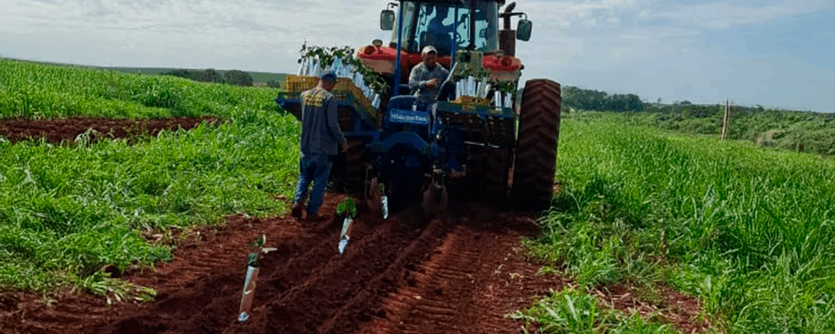 Eficiência no campo: BR dos Santos Agrícola leva plantadora da Hidrautec para novos territórios