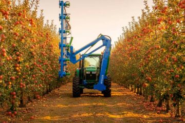 Previsões em poda mecanizada para 2026: o que vai transformar o campo?