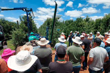 Poda mecânica em destaque no IX Field Day on Rootstocks & XI Giro Técnico